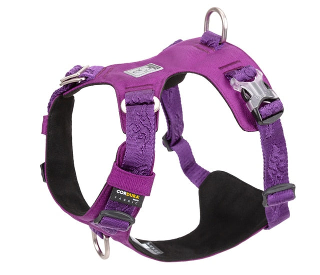 Truelove Adjustable Lightweight Dog Harness