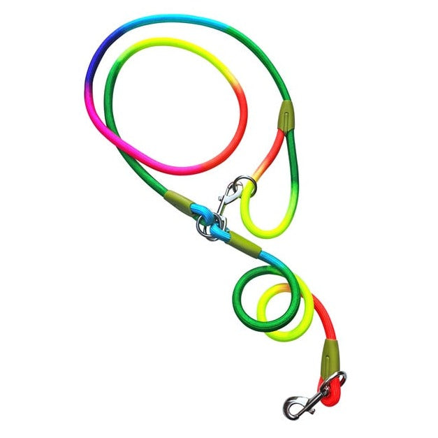 Reflective Nylon Dog Leashes