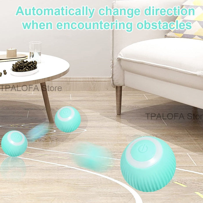 Interactive Self-Moving Kitten Toy