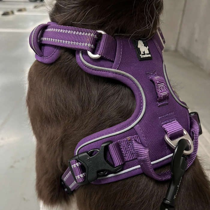 Truelove No-Pull Dog Harness