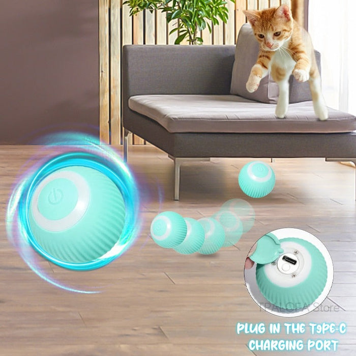 Interactive Self-Moving Kitten Toy