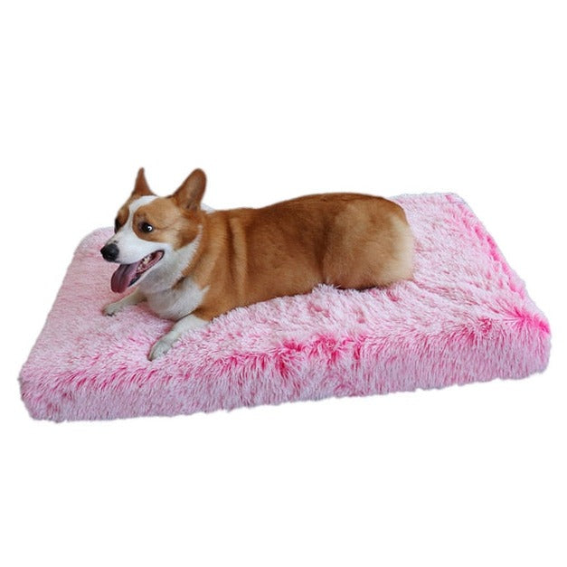 Plush Washable Dog Bed