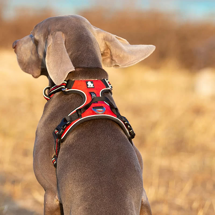 Truelove No-Pull Dog Harness