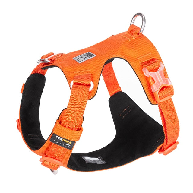 Truelove Adjustable Lightweight Dog Harness