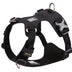 Truelove Adjustable Lightweight Dog Harness