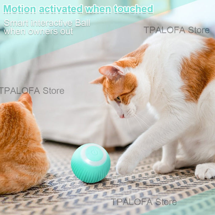 Interactive Self-Moving Kitten Toy