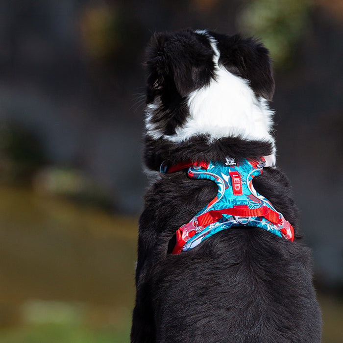 Truelove No-Pull Dog Harness