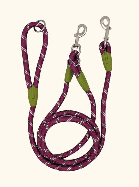 Reflective Nylon Dog Leashes