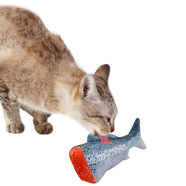 Creative Fish Shape Pet Toy