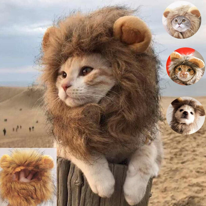 Lion Mane Cat Costume