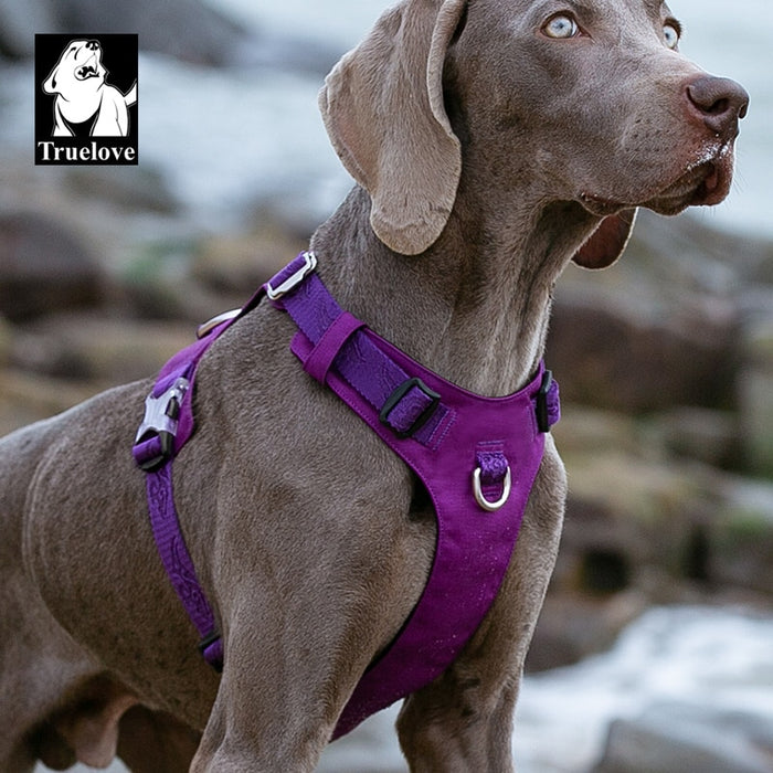 Truelove Adjustable Lightweight Dog Harness