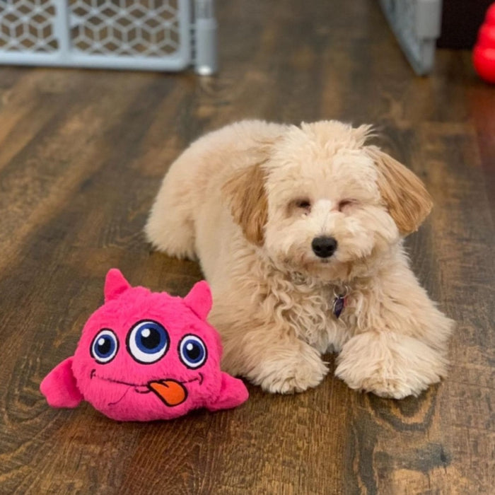 Cute Monster - Interactive Dog Toy