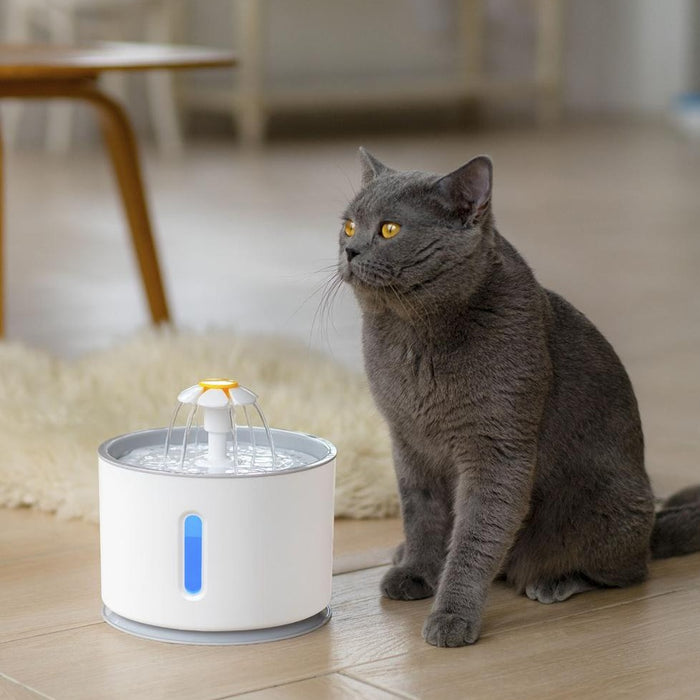 Pet Drinking Fountain Dispenser