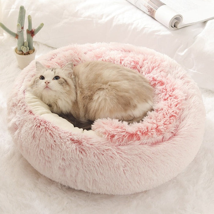 2-in1 Pet Bed