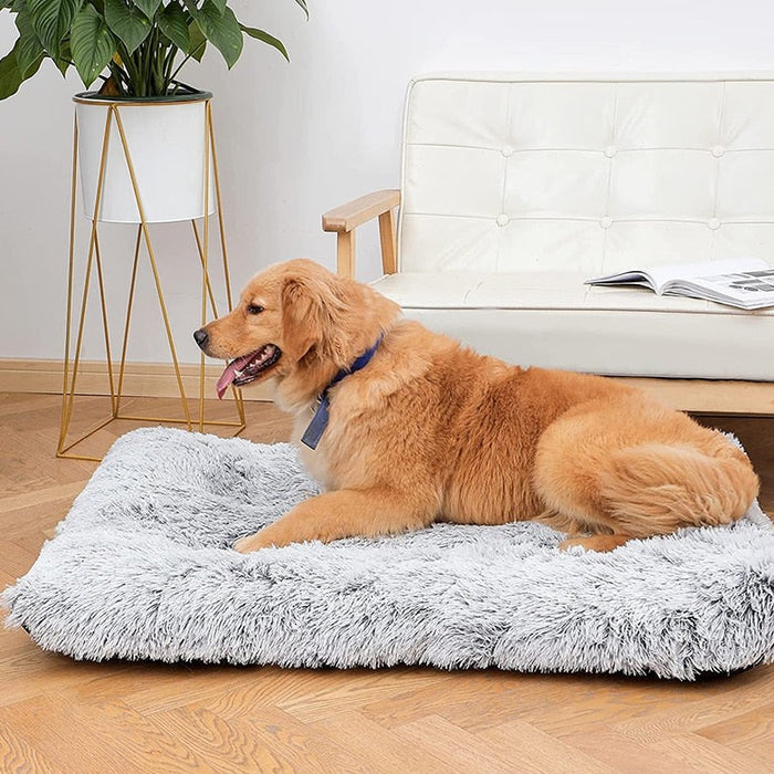 Plush Washable Dog Bed