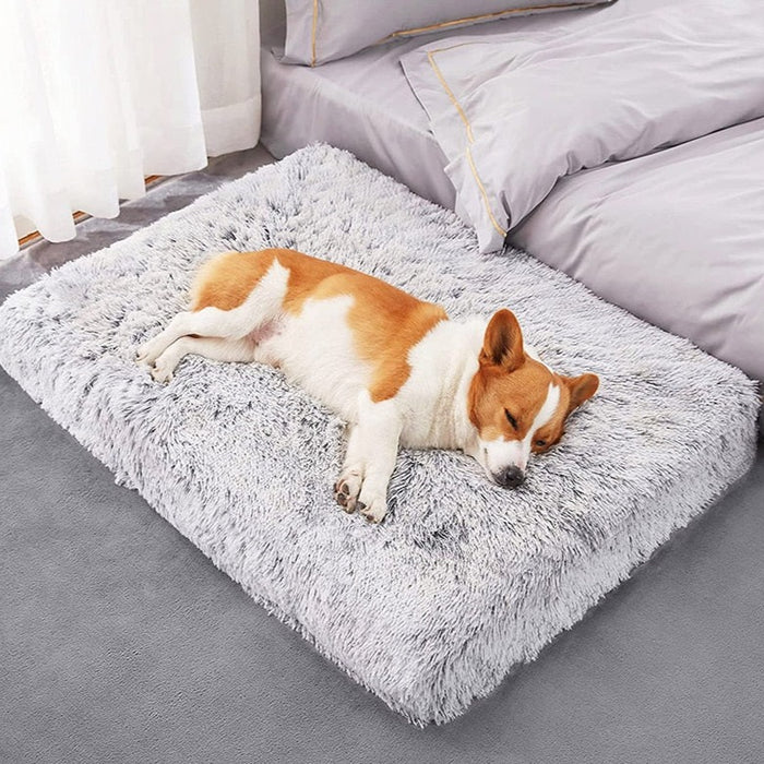 Plush Washable Dog Bed