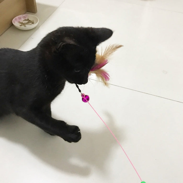 Feather Toy