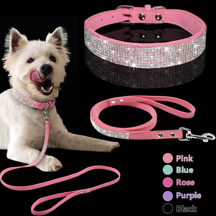 Pet Collar Leash Set