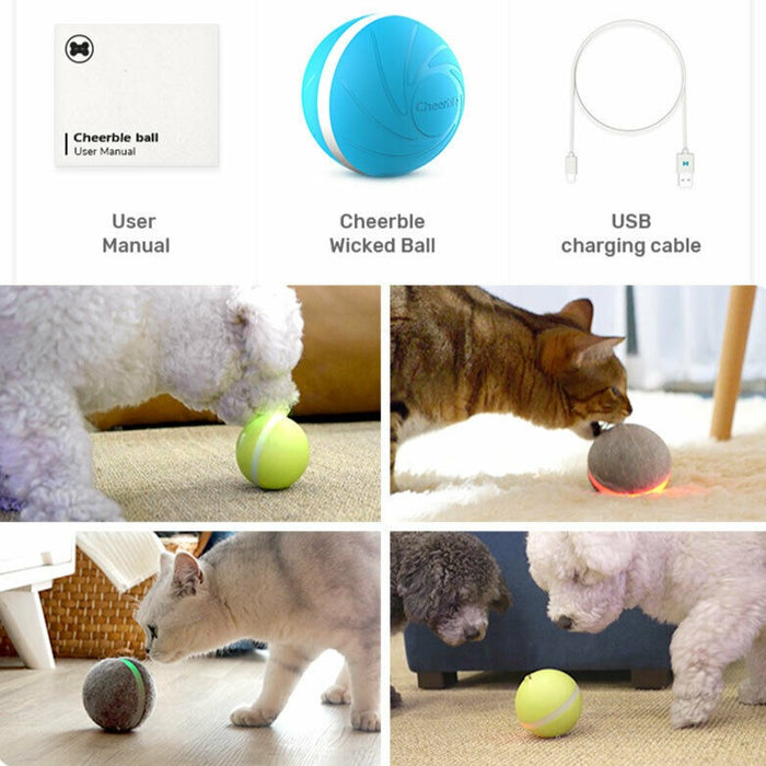 LED Pet Ball