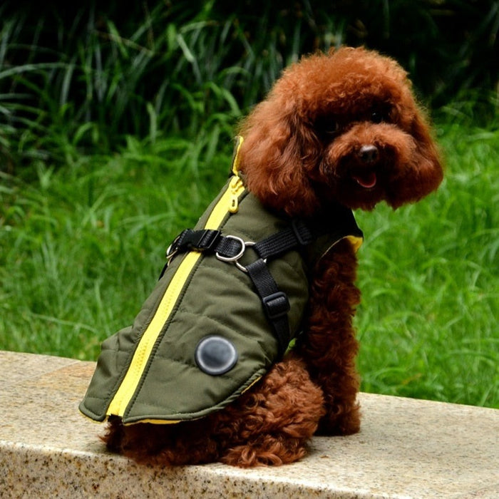 Waterproof Pet Coat With Harness