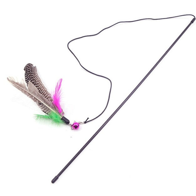 Feather Toy