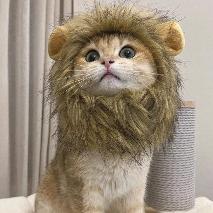 Lion Mane Cat Costume