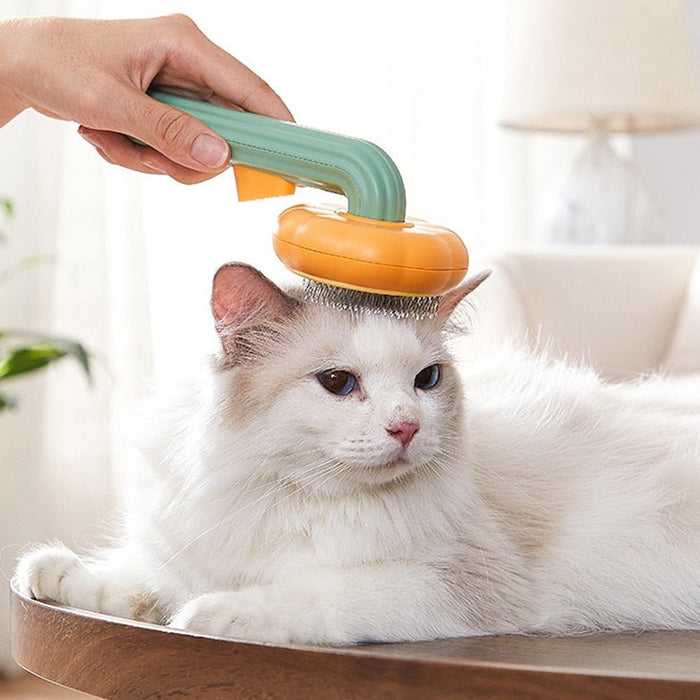 Cats Pumpkin Grooming Brush