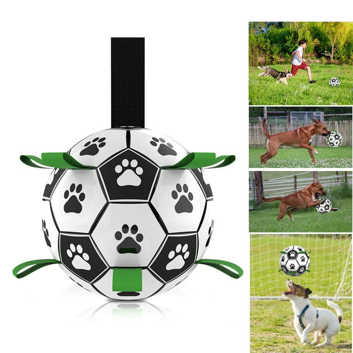 Soccer Ball Dog Toy