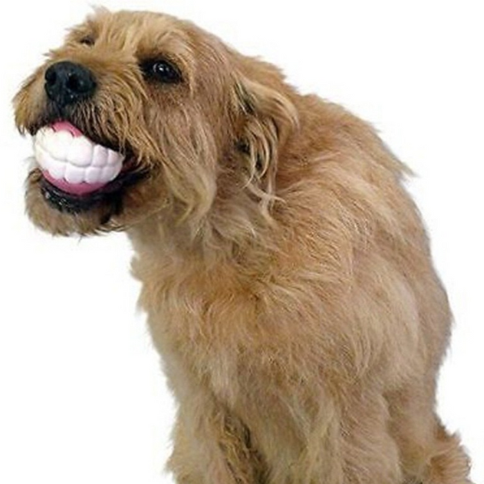 Pet Ball Teeth Silicon Chew Toys for Large Breeds