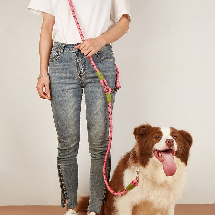 Reflective Nylon Dog Leashes