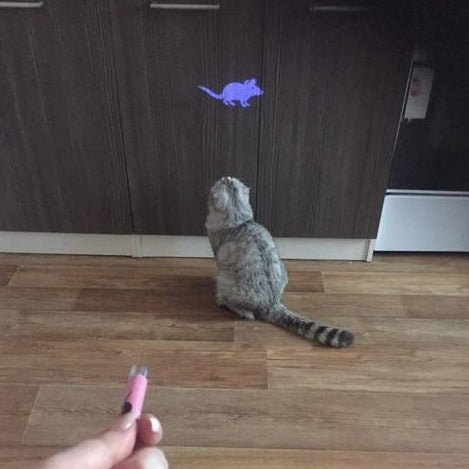 Pet Laser Pointer Multi-Pattern