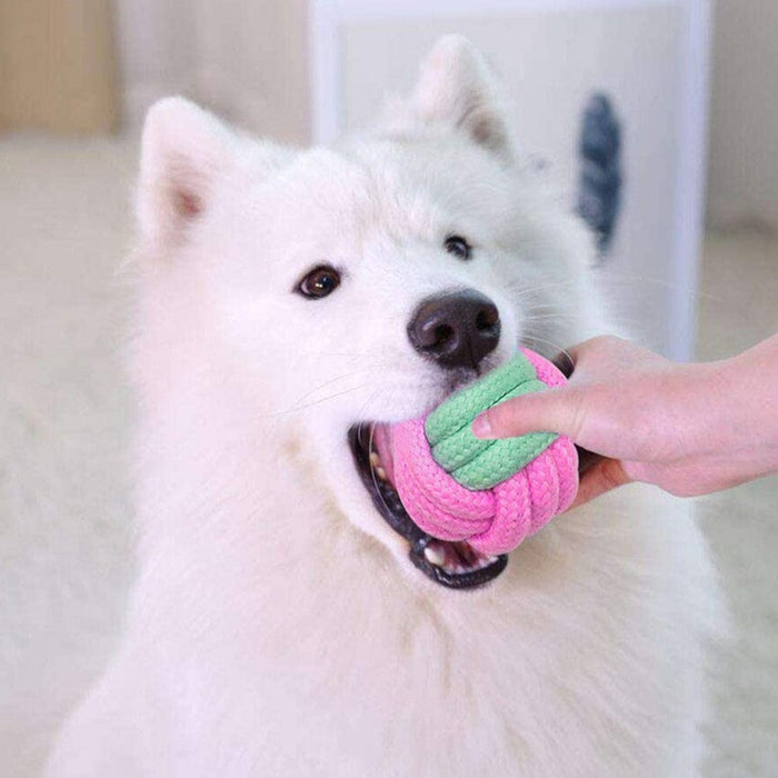 Pet Dog Chew Toys