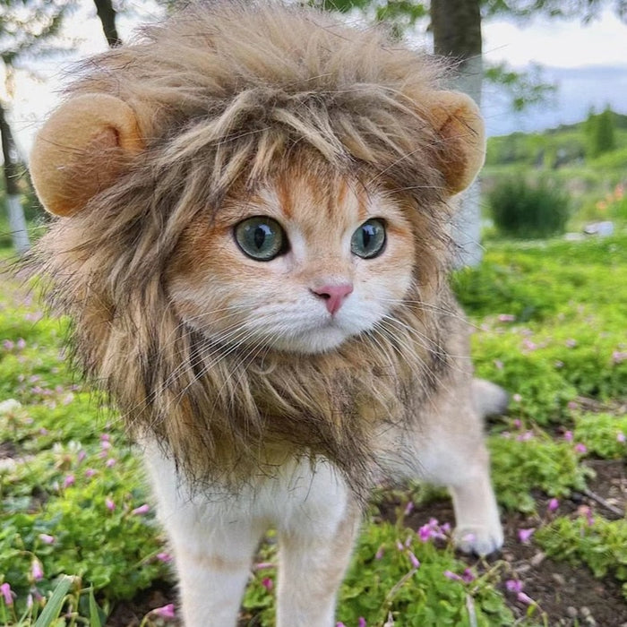 Lion Mane Cat Costume